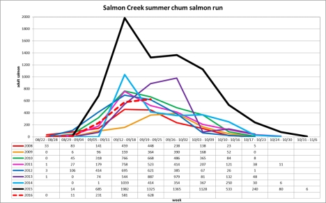 salmon-creek-2016-numbers